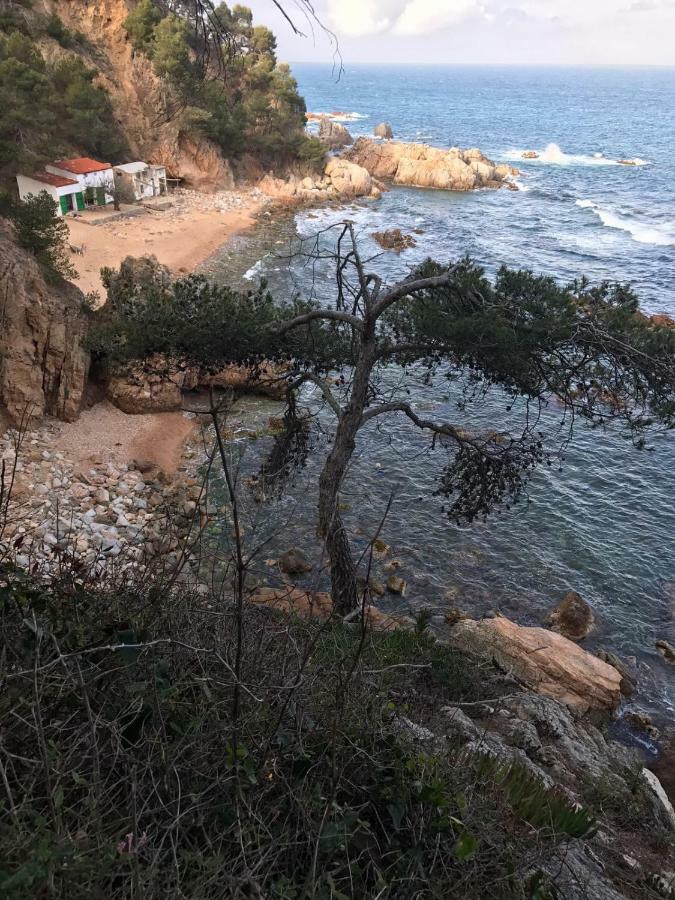 Apartamento Recien Reformado A 300 Metros Del Mar Calella De Palafrugell Exterior photo
